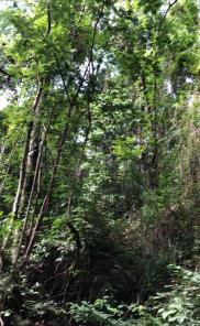 Parque Vale do Itaim