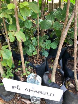 Parque Vale do Itaim