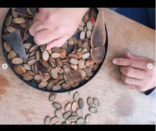 Zumbi dos Palmares Taubaté