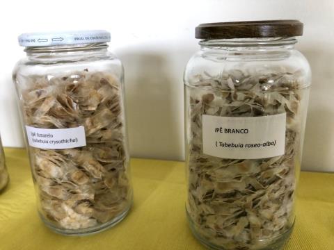 Parque Vale do Itaim