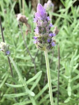 Parque Vale do Itaim