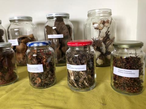 Parque Vale do Itaim