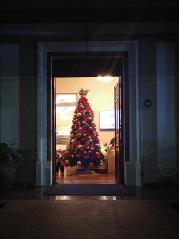 IMG-20241125-WA0310