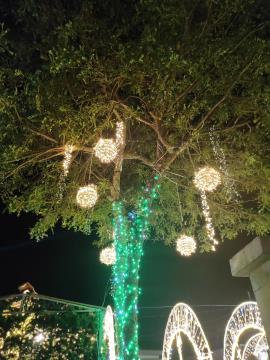 582011703_1244287011051343_7614521814182811020_n