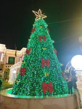 583000227_1244286967718014_4797747309967264102_n