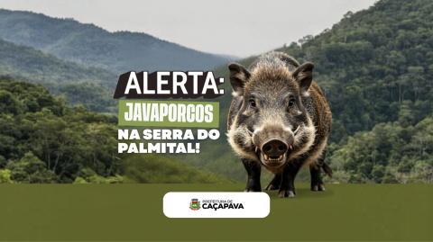 javaporco (1)