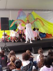 Elis 6