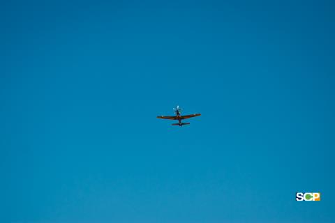 IMG_7303