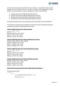 13142212-item-2-3-cartilha-do-ibs-vol-1-formatada-20251110-1506_page-0040