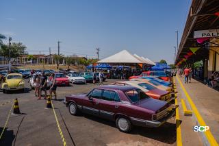 _DSC0029