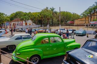 _DSC0031
