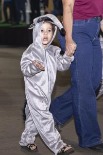desfile-111_17-06_042