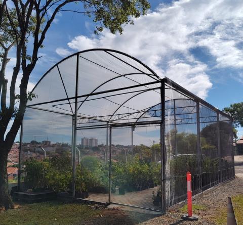 VIVEIRO MUNICIPAL DE MUDAS FLORESTAIS TEM ATIVIDADES CONCENTRADAS EM NOVO LOCAL