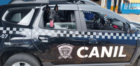 GCM DE TATUÍ APREENDE QUASE 2 MIL PORÇÕES DE DROGAS EM UMA SEMANA E REFORÇA COMBATE AO TRÁFICO NA CIDADE