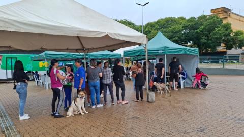 MUTIRÃO REALIZA MAIS DE 2 MIL CASTRAÇÕES GRATUITAS E REFORÇA AVANÇO NAS POLÍTICAS DE BEM-ESTAR ANIMAL EM TATUÍ