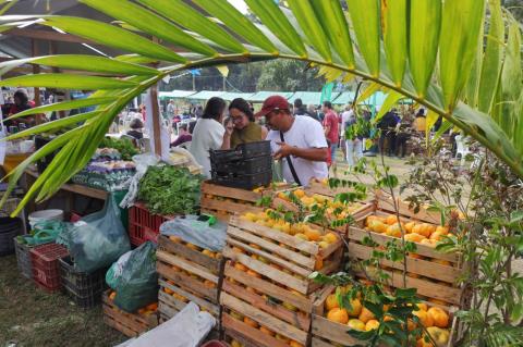Evento reforça protagonismo dae Teresópolis como maior produtora da fruta no estado do Rio