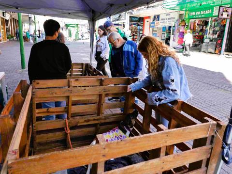 Feira de Adoção de Cães_crédito Roberto Ferreira