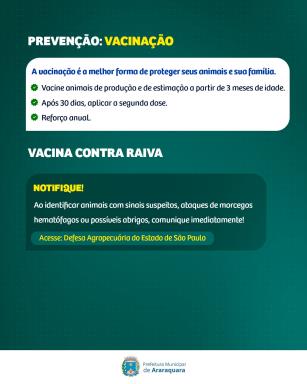 WhatsApp Image 2026-06-24 at 15.46.36