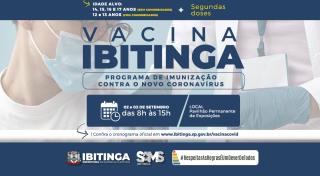 Arte Vacina Covid 14 15 14 13 + segudas doses copiarrr