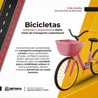 DiadaBicicleta_