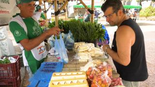 feira do produtor rural