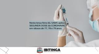 segunda dose coronavac