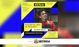 senais arte curso industrial