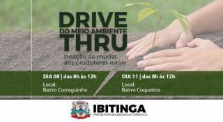 ambiente