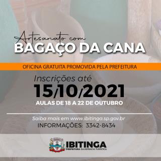 bagaço da cana artesanato