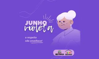 banner site violeta