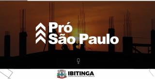pro
