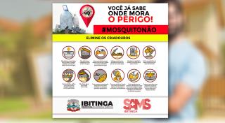 dengue aqui não