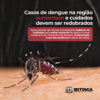 Dengue_210322Insta