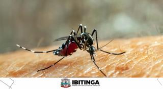 dengue