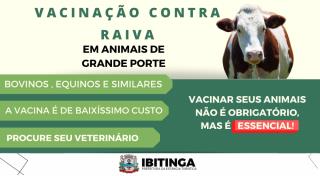 vacina