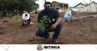 plantio são benedito 1