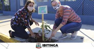 PLANTIO DELFINA 1