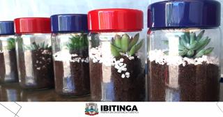 terrario 1