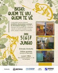 Exposicao_Feed