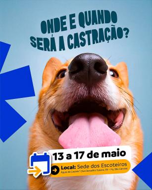 castração_06