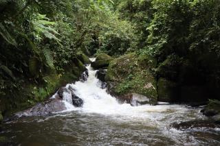 cachoeira do cambuci (3)