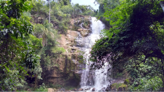 divinolandia2