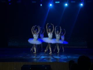 80c053fff496153ec124500e1a25a3c6