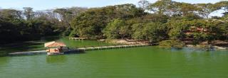 banner_10