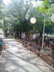 bocainaparaiso12