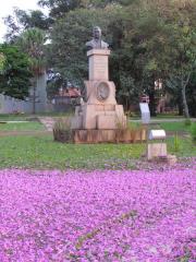 fotos_orlandia_4