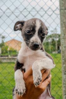 WhatsApp Image 2025-11-06 at 11.28.23