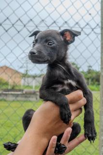 WhatsApp Image 2025-11-06 at 11.28.24