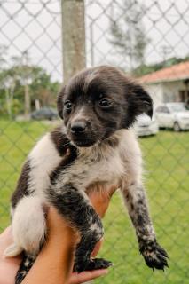 WhatsApp Image 2025-11-06 at 11.28.24 (1)