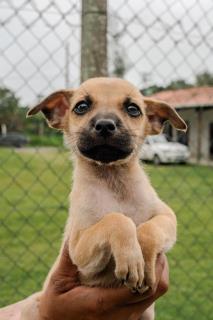 WhatsApp Image 2025-11-06 at 11.28.24 (2)